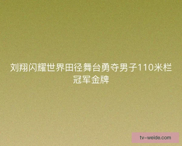 刘翔闪耀世界田径舞台勇夺男子110米栏冠军金牌