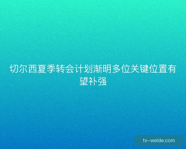 切尔西夏季转会计划渐明多位关键位置有望补强 切尔西夏季转会计划渐明多位关键位置有望补强